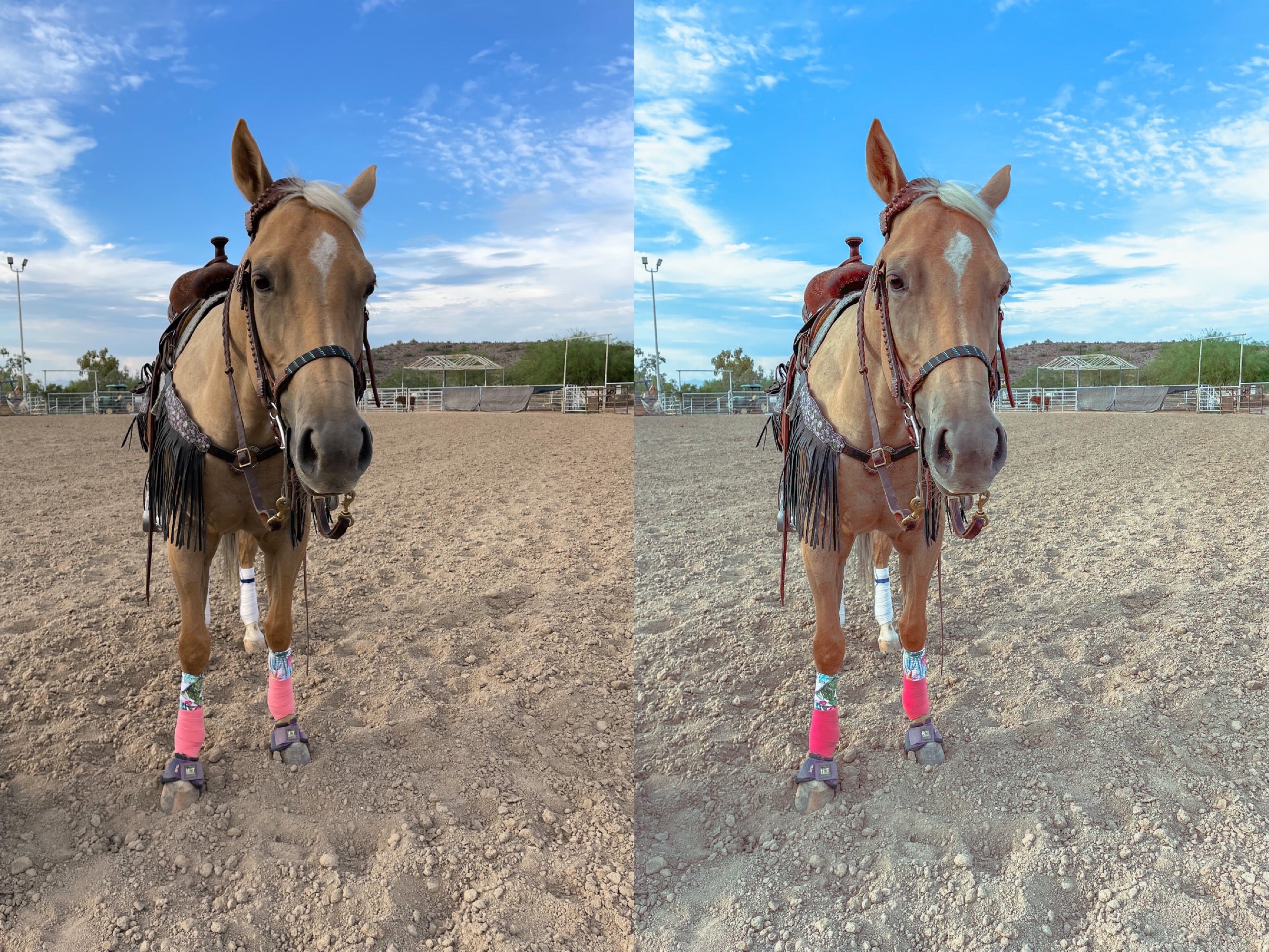 Dazed Mobile Preset - The Modern Cowgirl