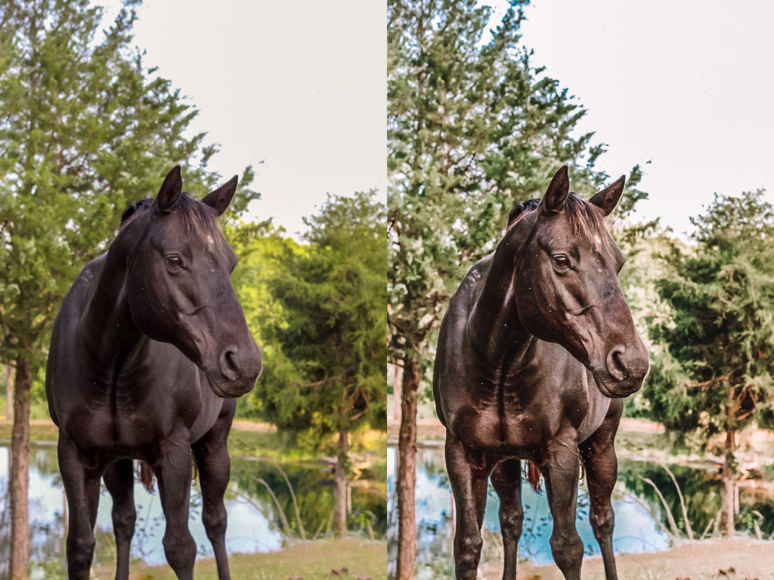 Malibu Mobile Preset - Modern Cowgirl Presets