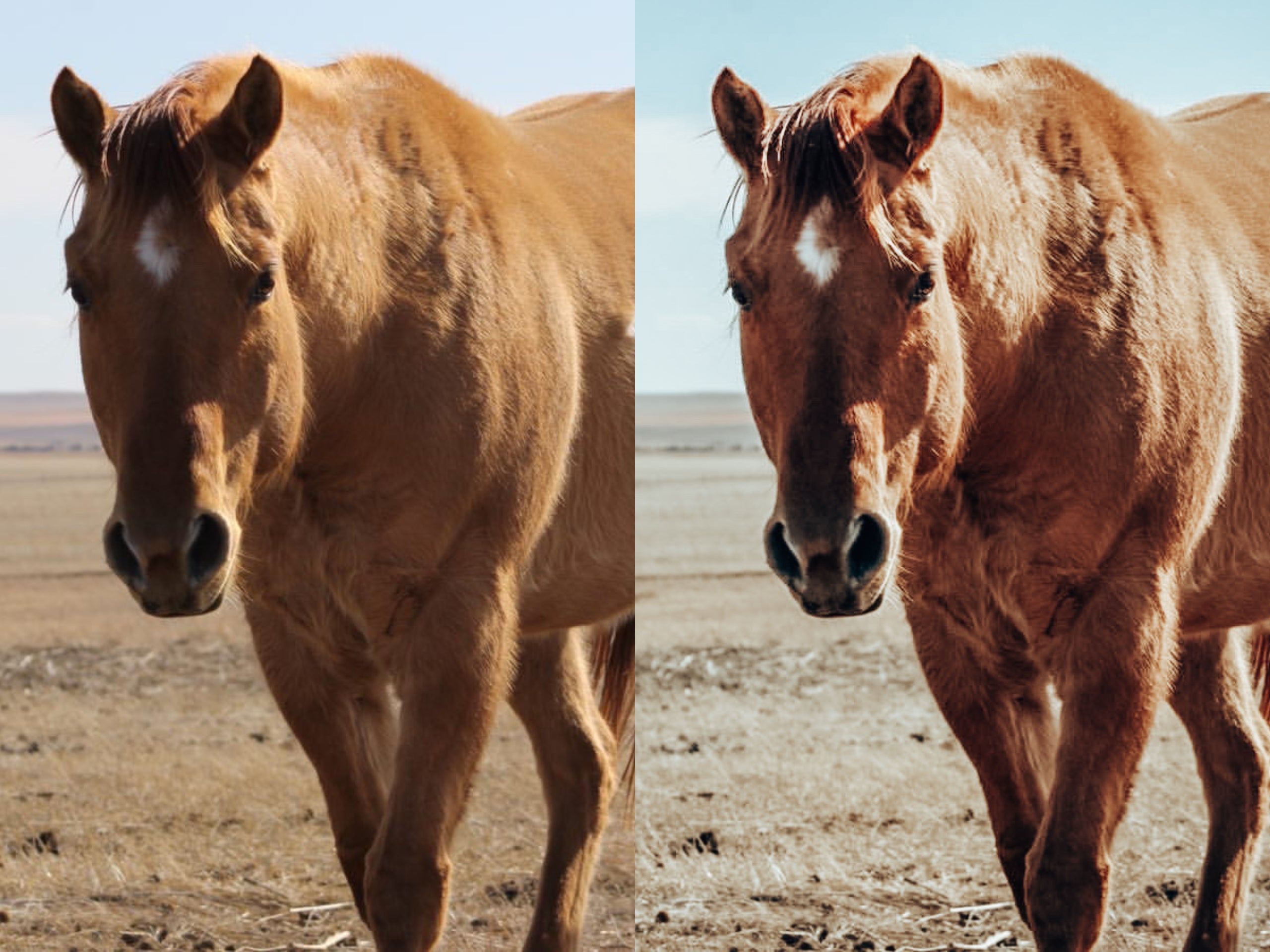 Corona Cowgirl Mobile Preset - Modern Cowgirl Presets