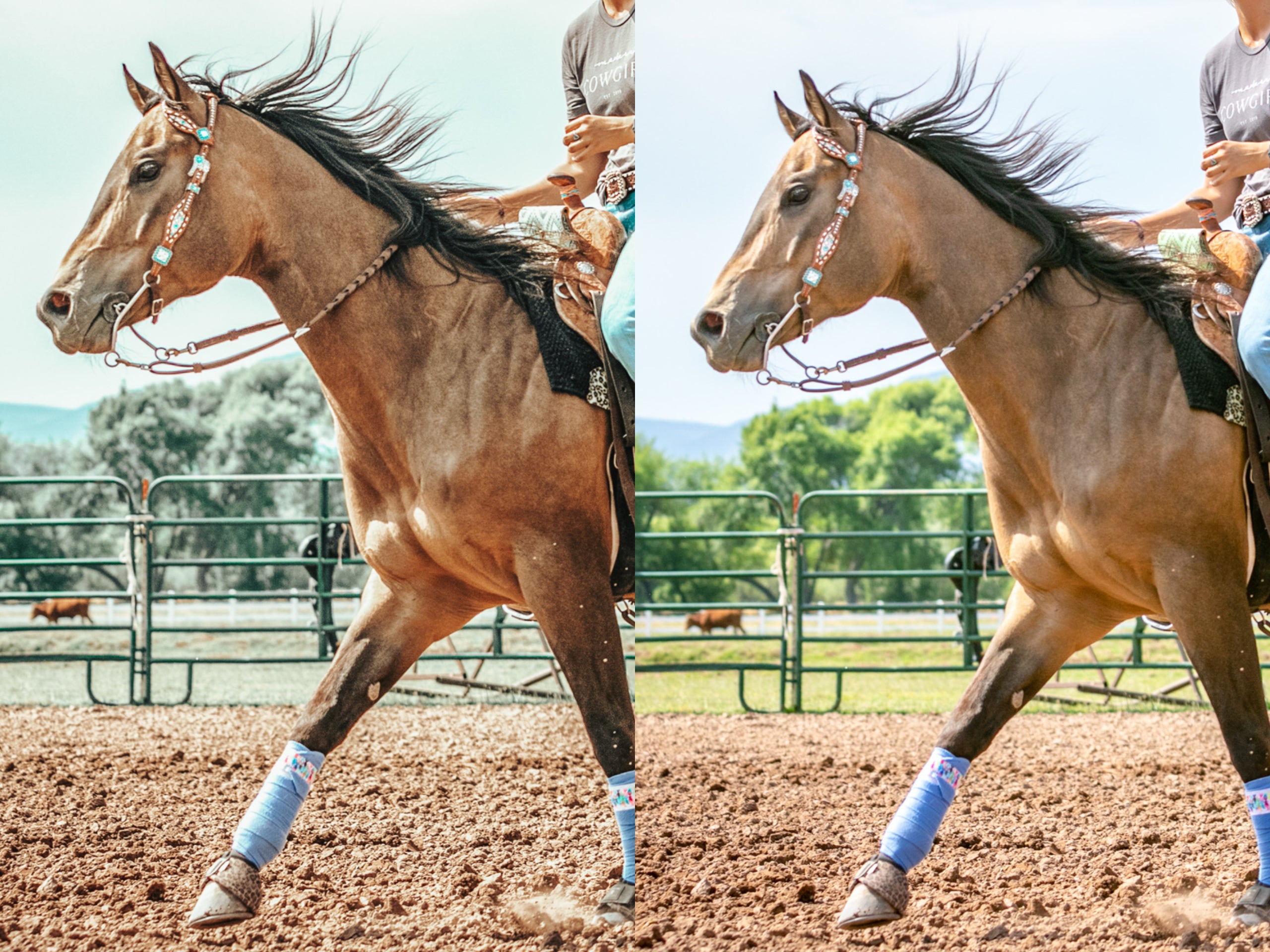 Frosted Mobile Preset - Modern Cowgirl Presets