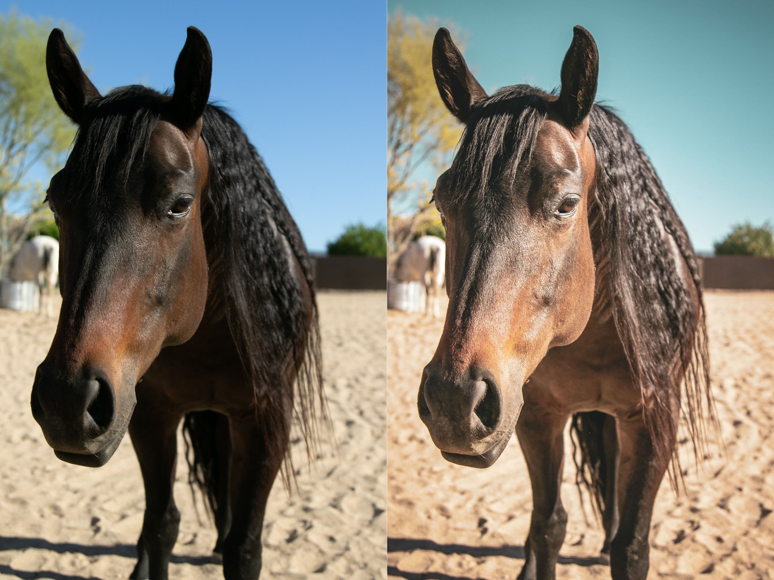 Rusty Denim Pack - Modern Cowgirl Presets