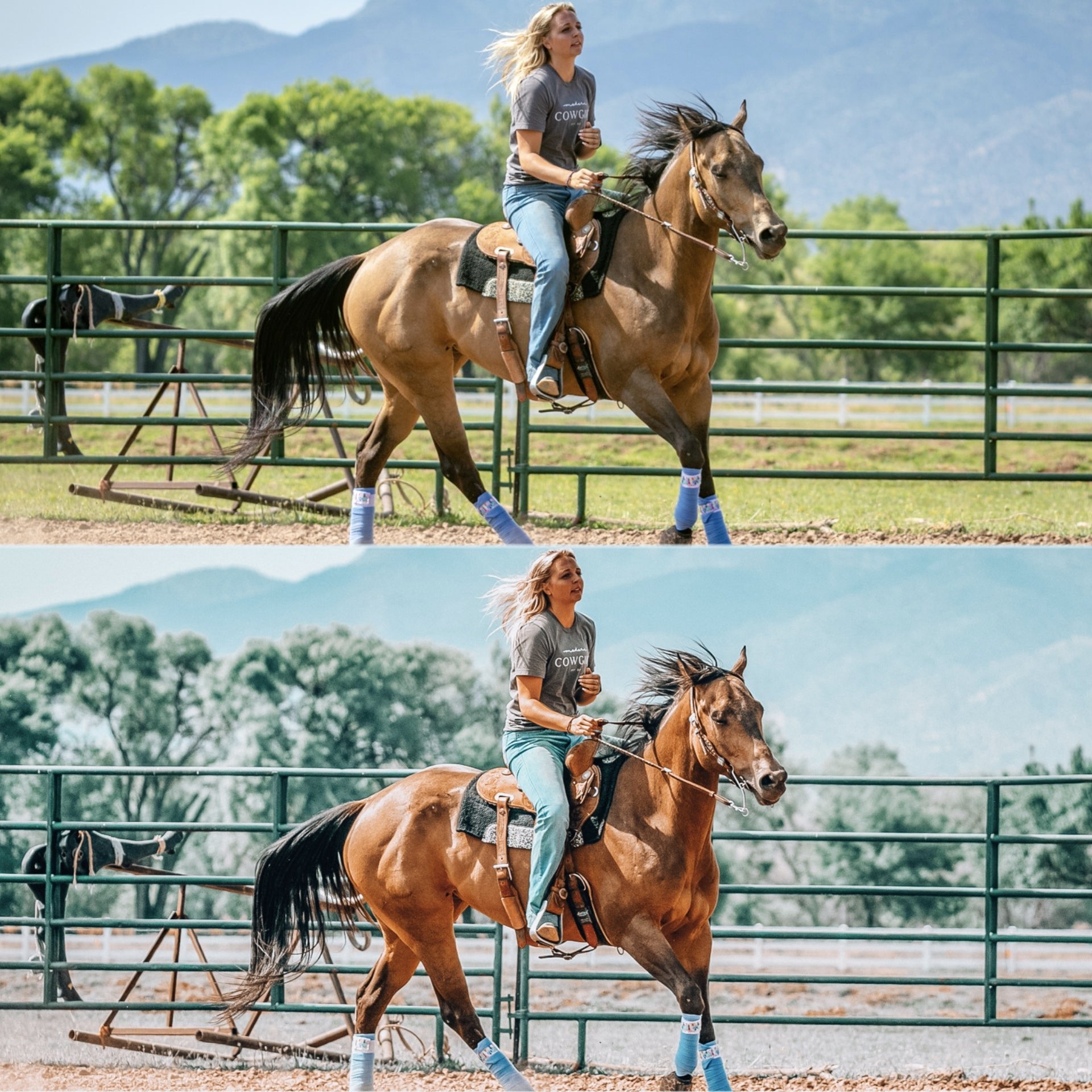 Red Dirt Mobile Preset - Modern Cowgirl Presets