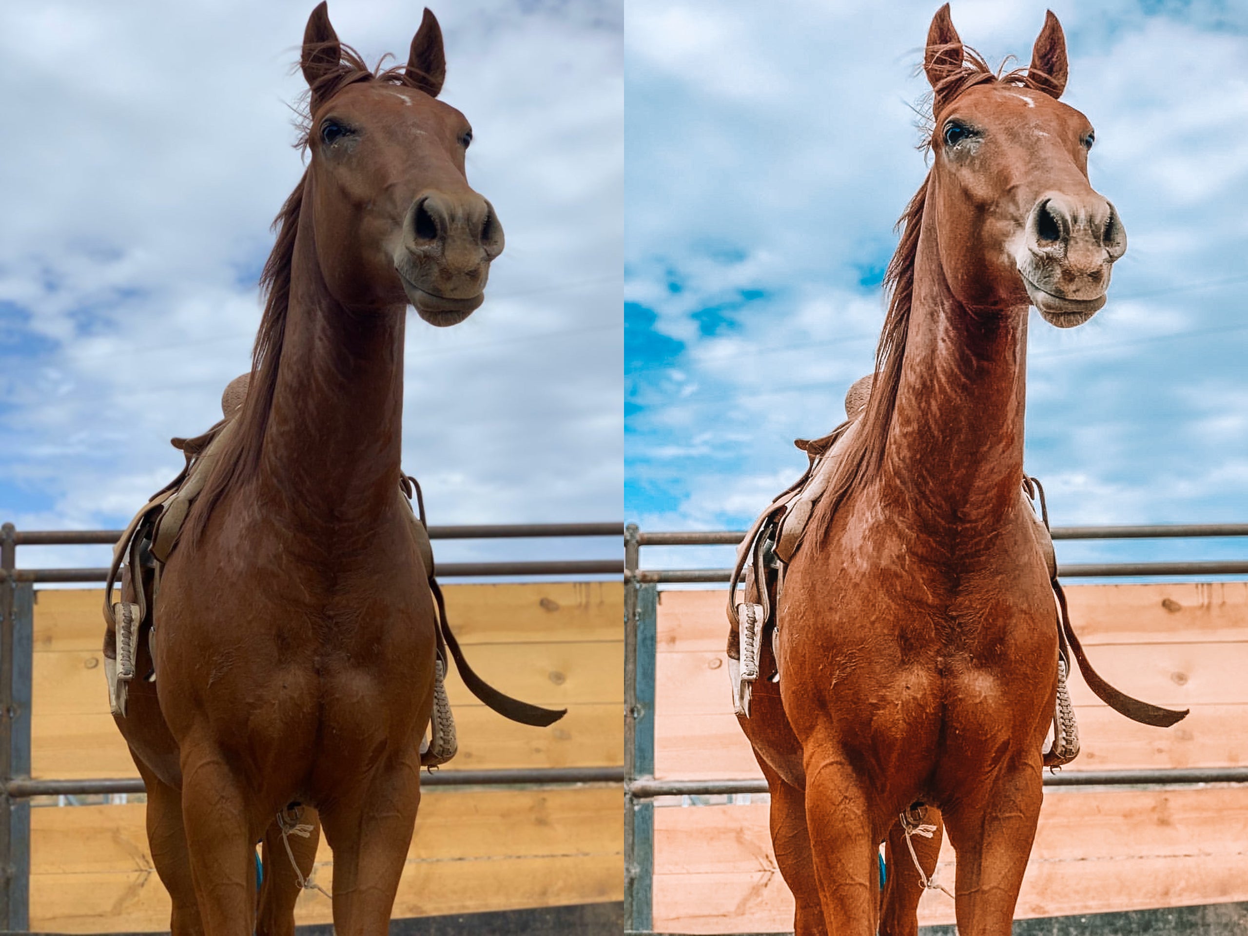 Malibu Mobile Preset - Modern Cowgirl Presets