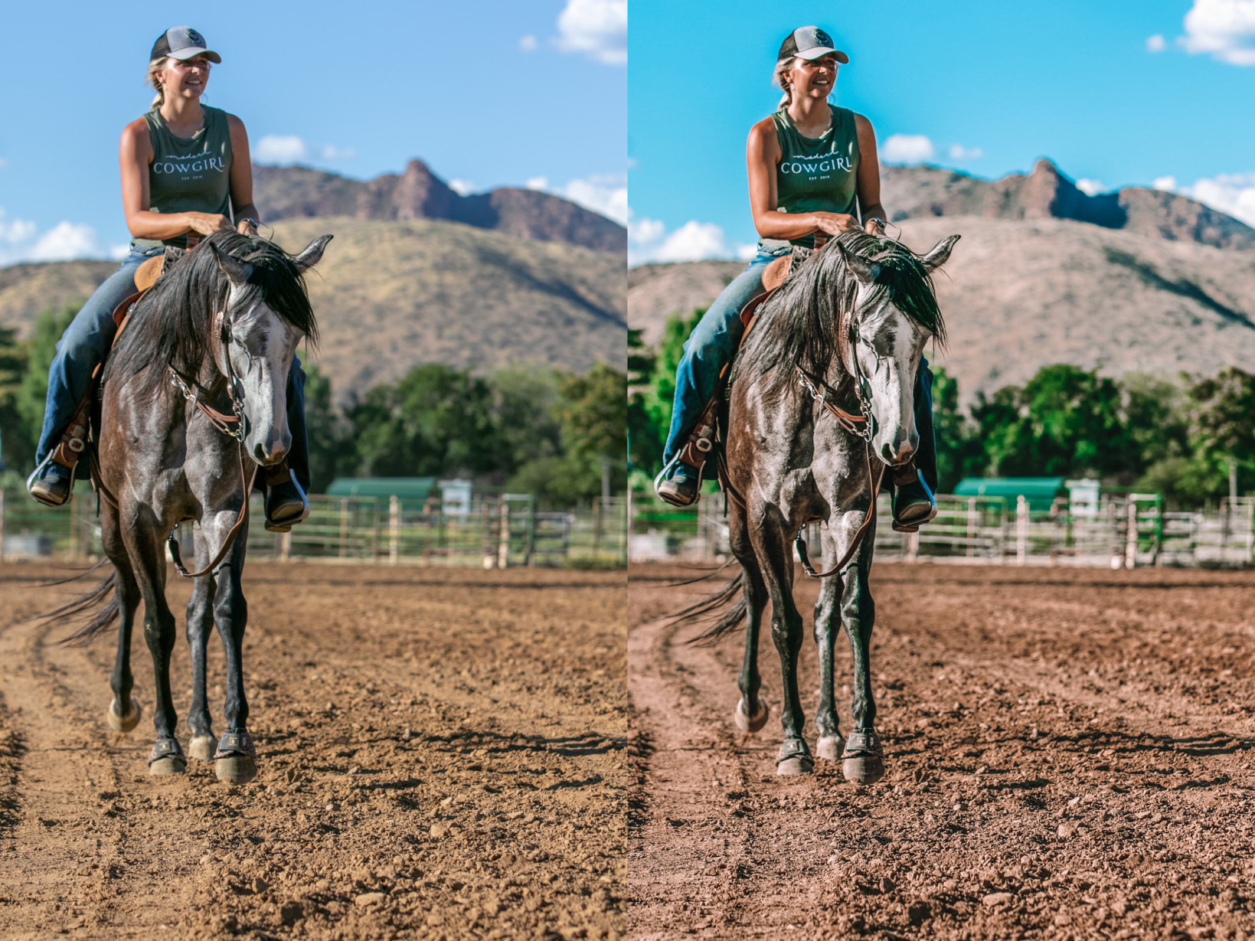 Icy Cowgirl Mobile Preset