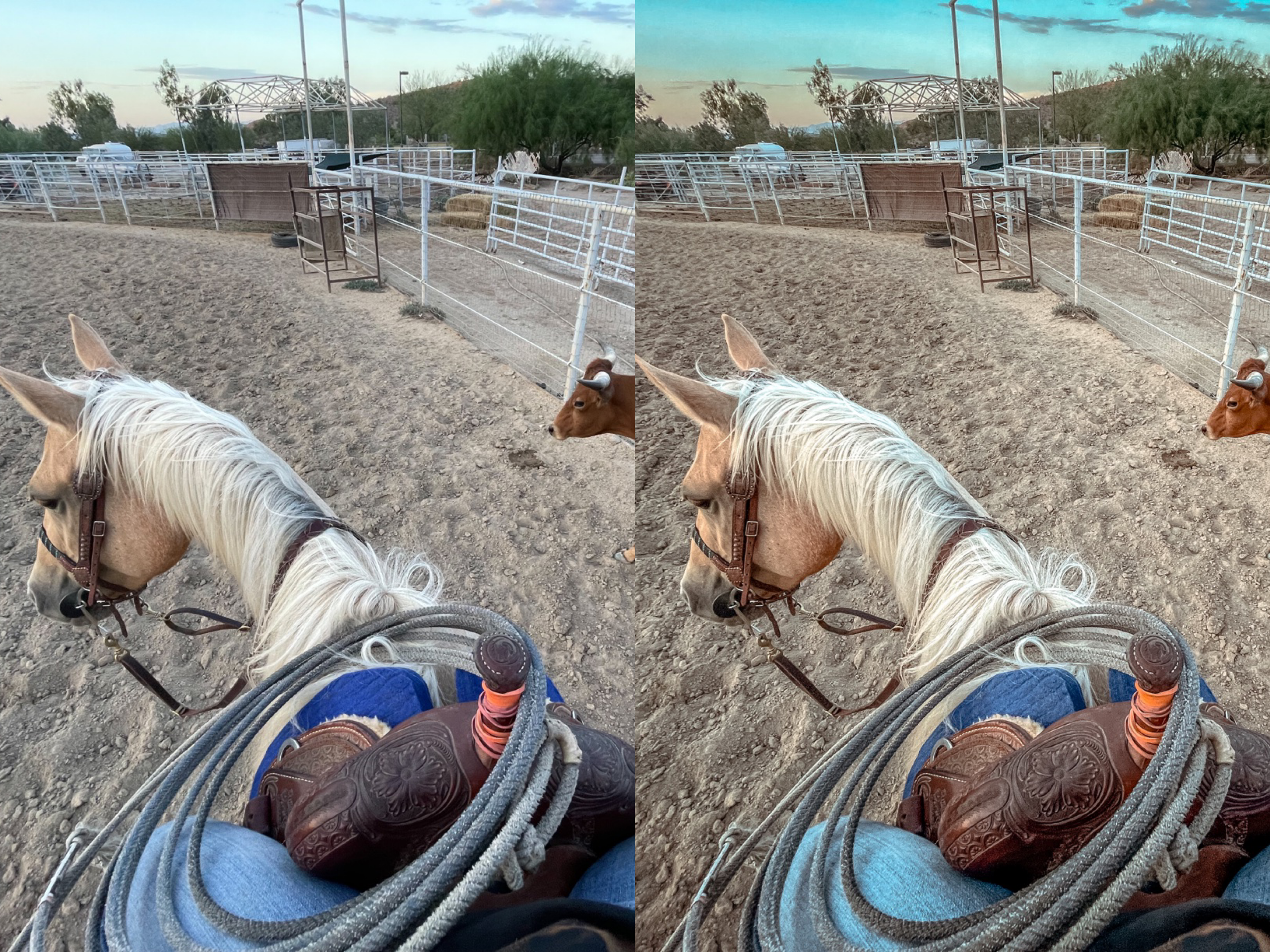 Breezy Mobile Preset - The Modern Cowgirl