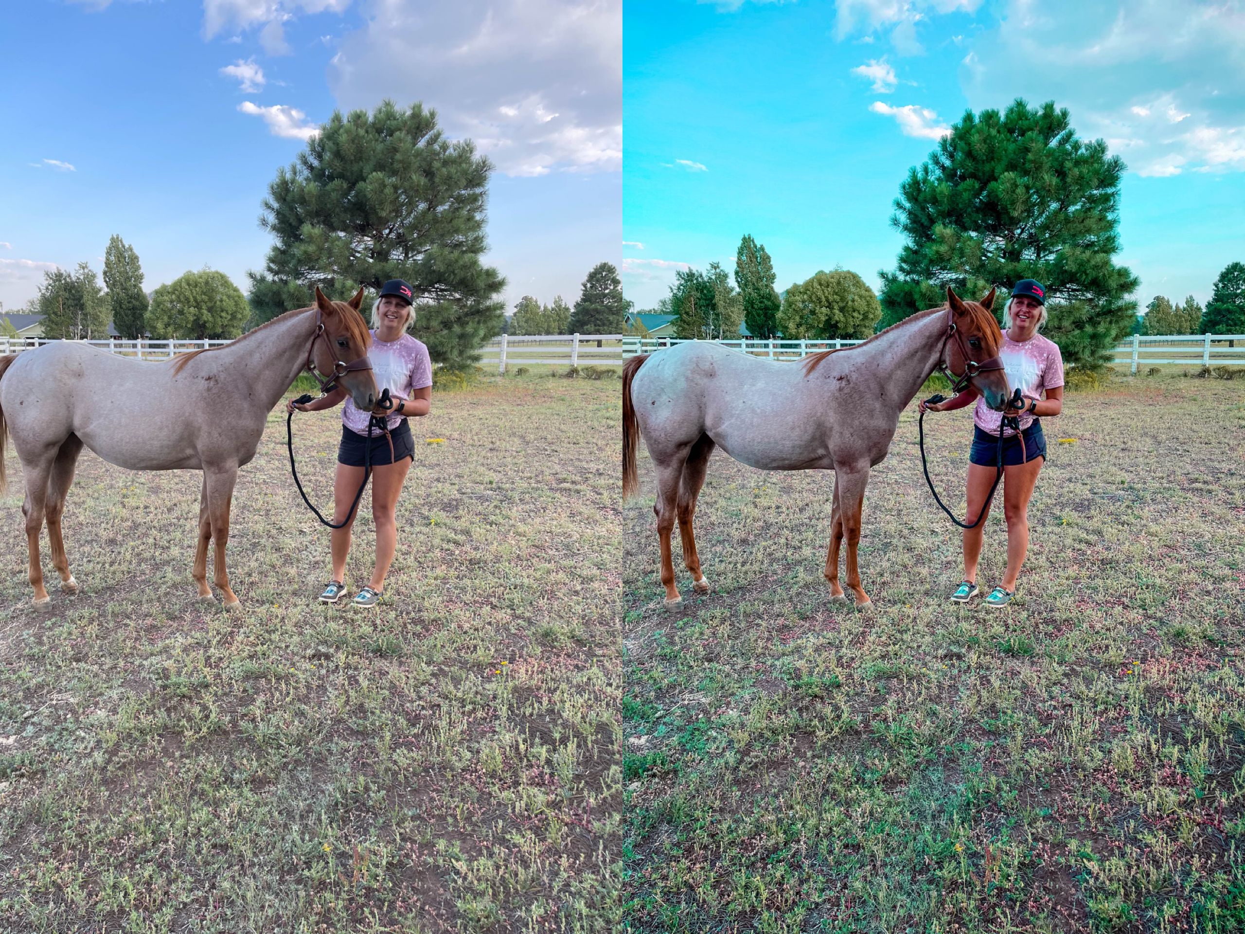 Turquoise Junkie Mobile Preset - The Modern Cowgirl