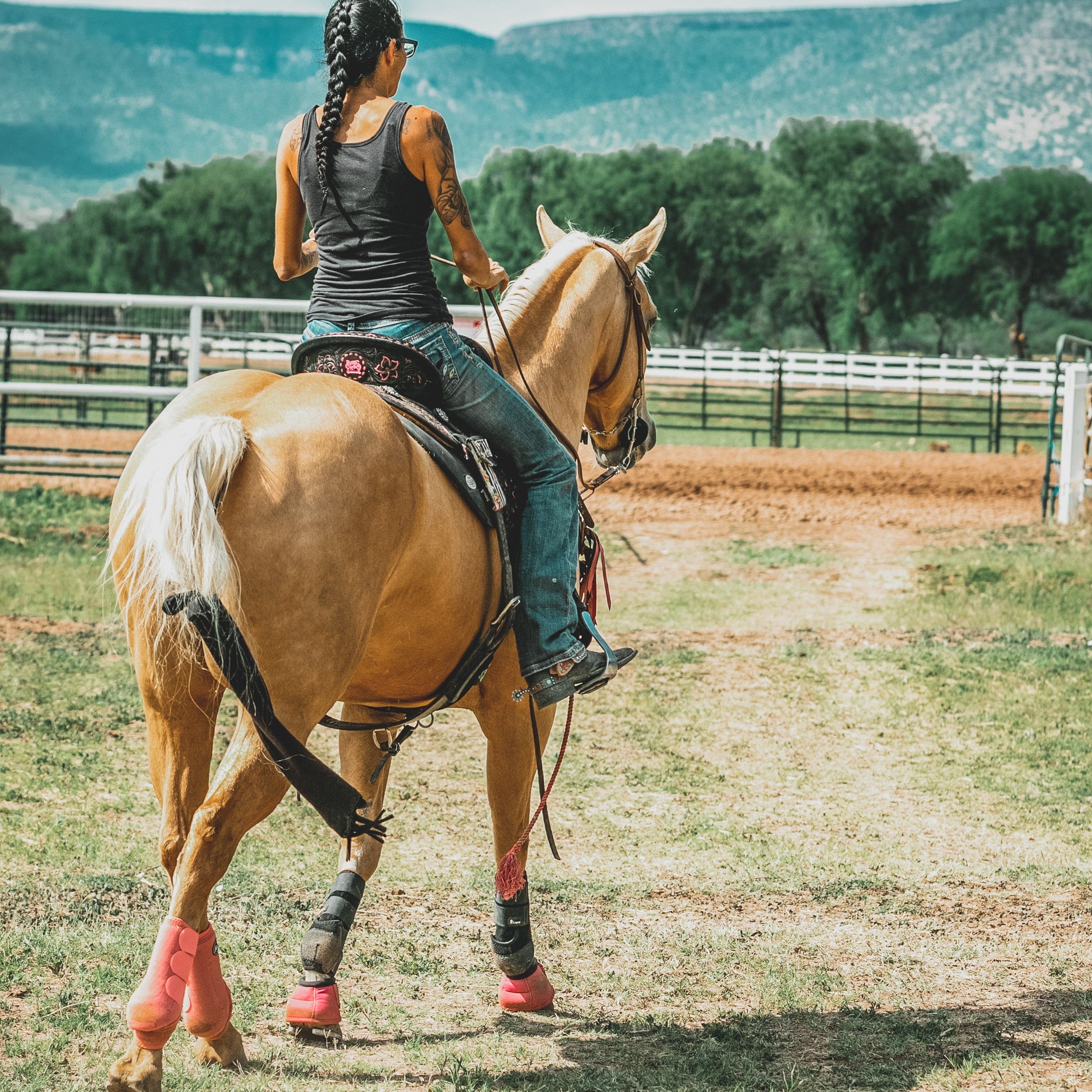 Spring Themed Filter Pack - The Modern Cowgirl