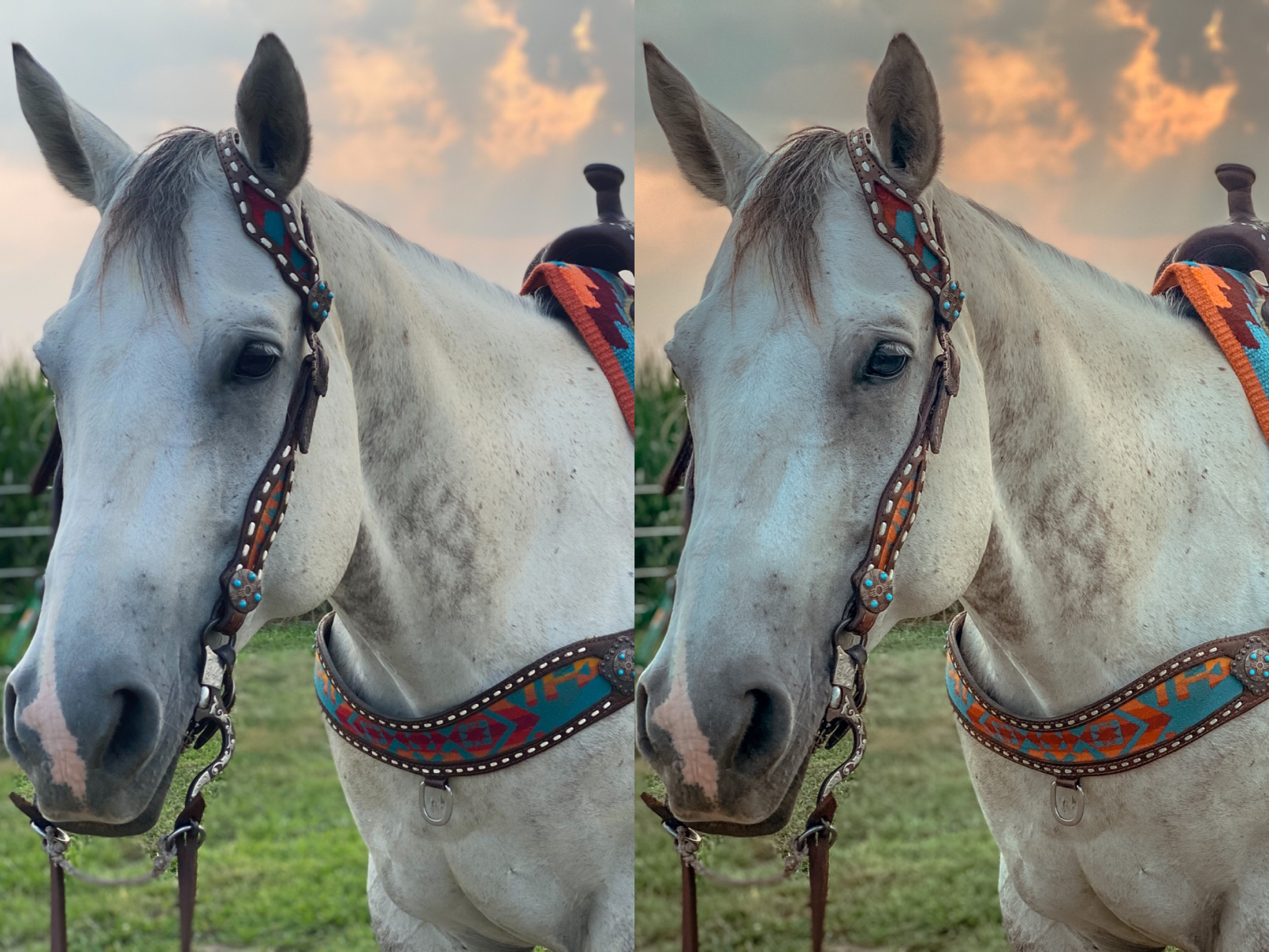 Breezy Mobile Preset - The Modern Cowgirl