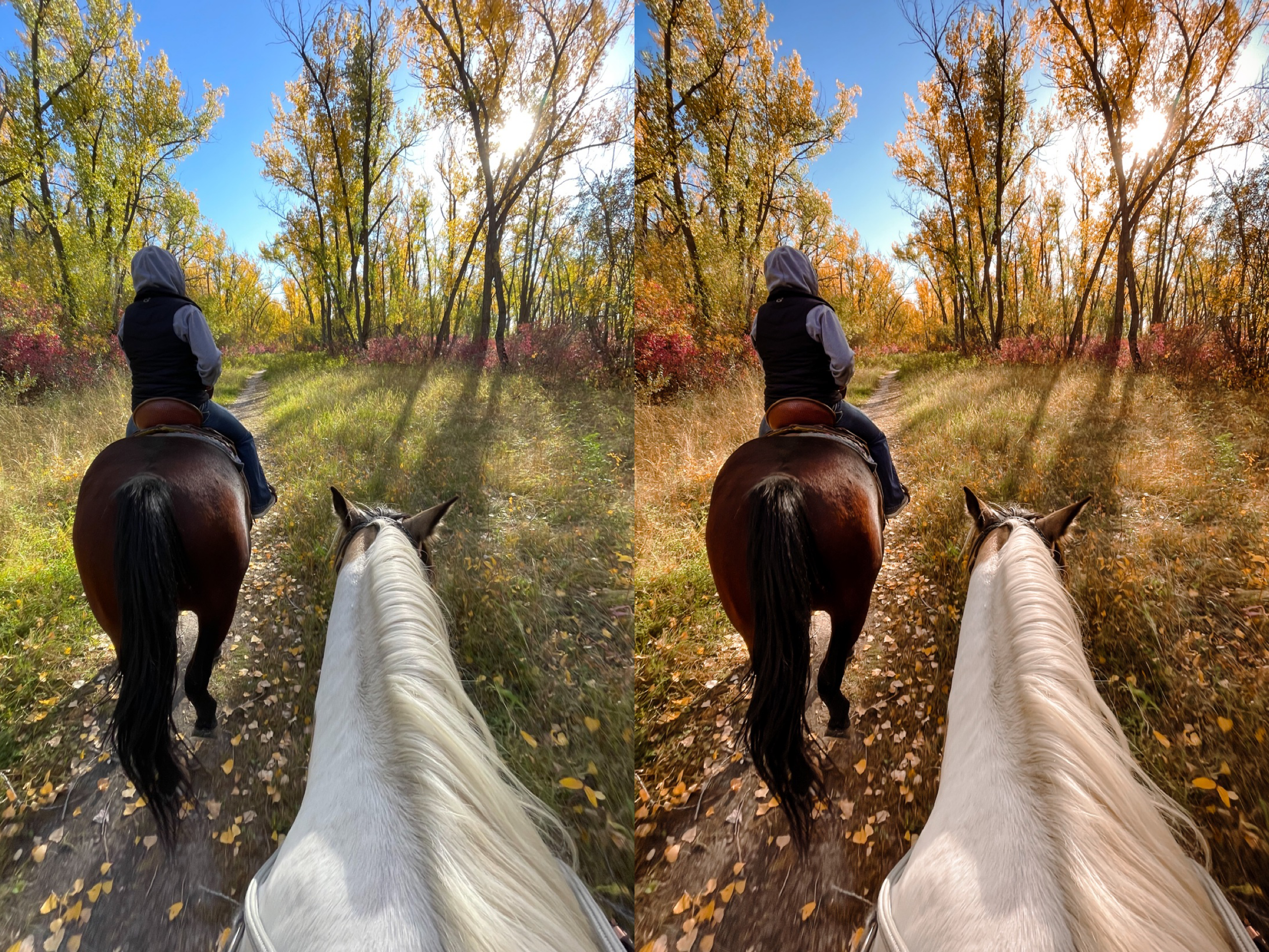 Pumpkin Spice Mobile Preset - The Modern Cowgirl