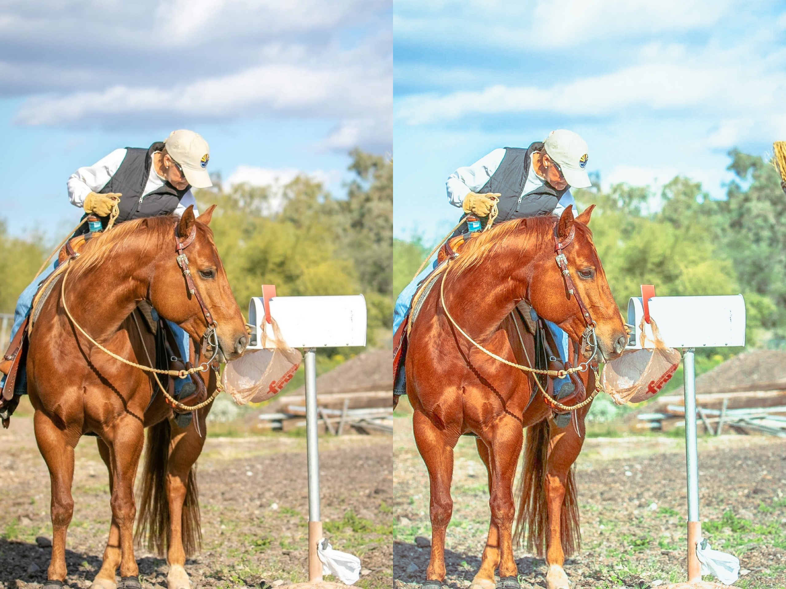 Dazed Mobile Preset - The Modern Cowgirl