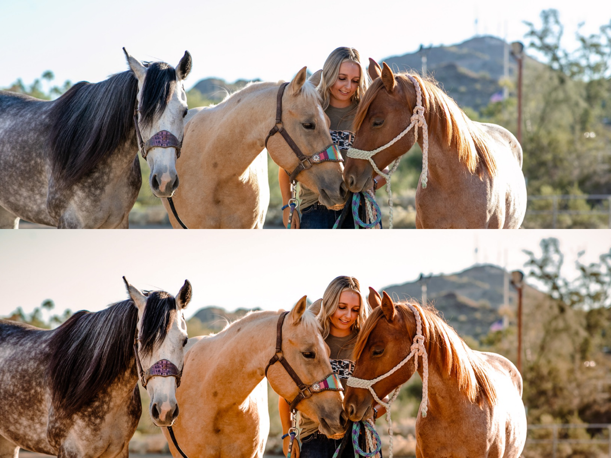 Pumpkin Spice Mobile Preset - The Modern Cowgirl