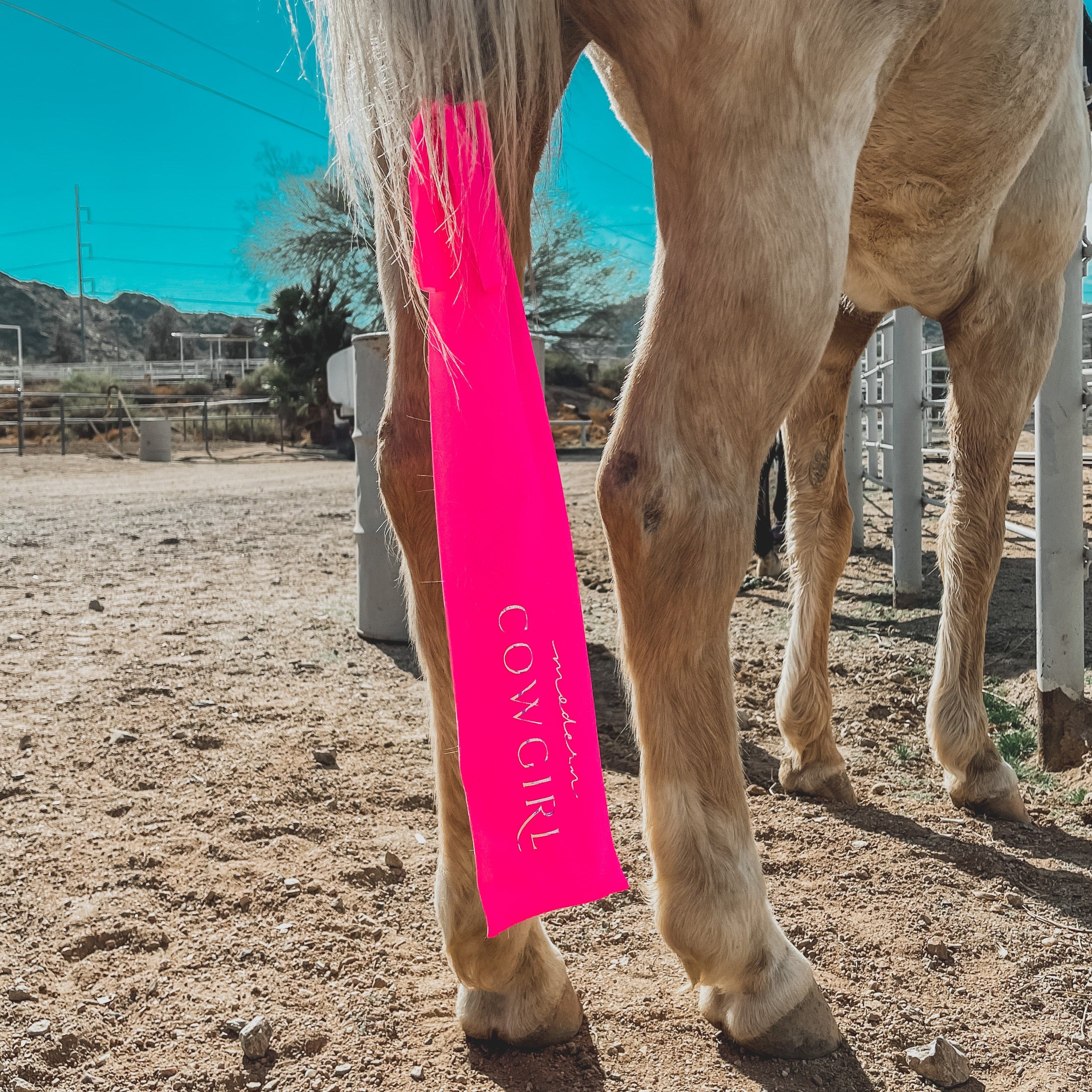 Modern Cowgirl Tailbags - Modern Cowgirl Presets