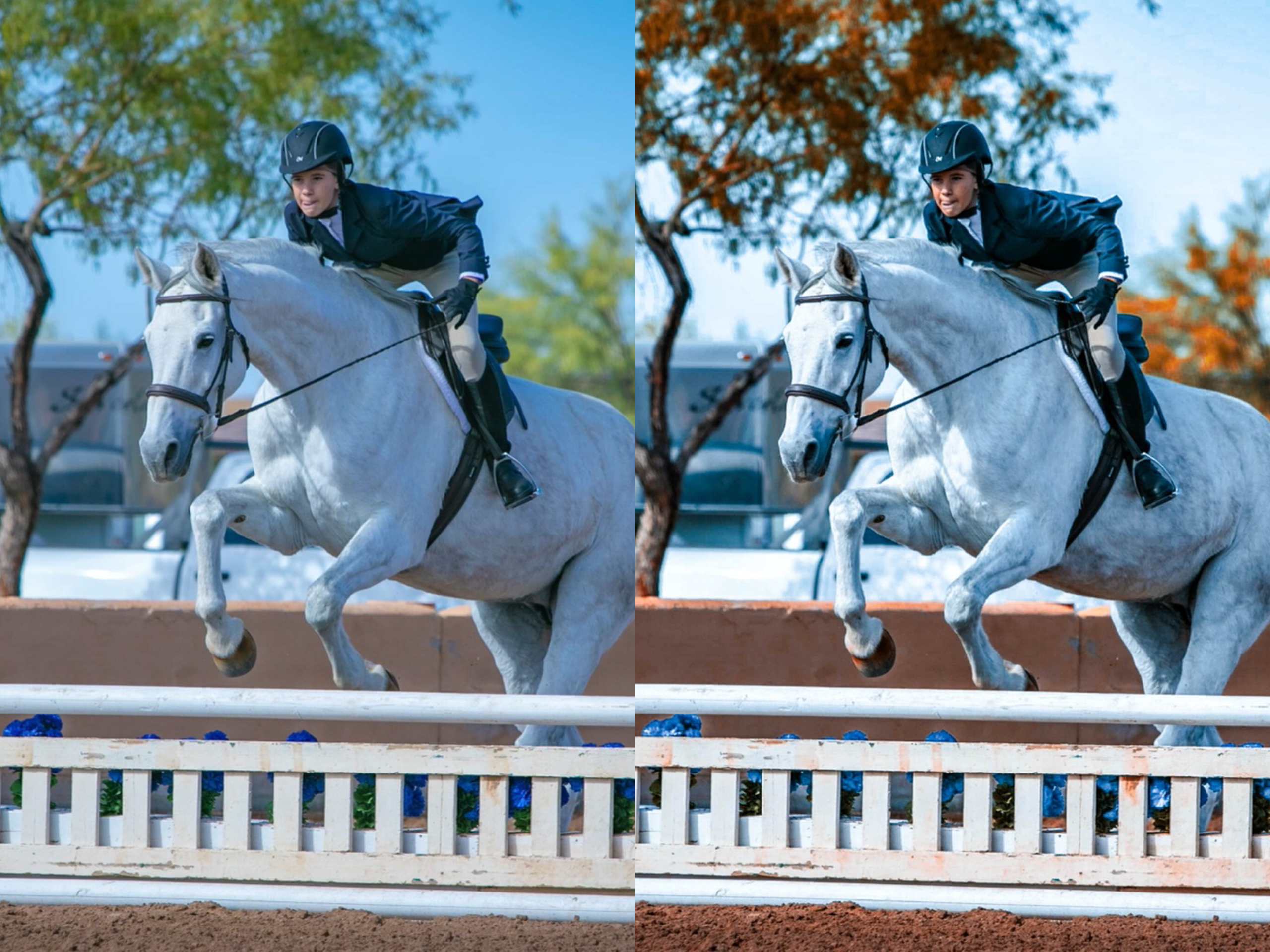 Grey Horse Pack - Modern Cowgirl Presets