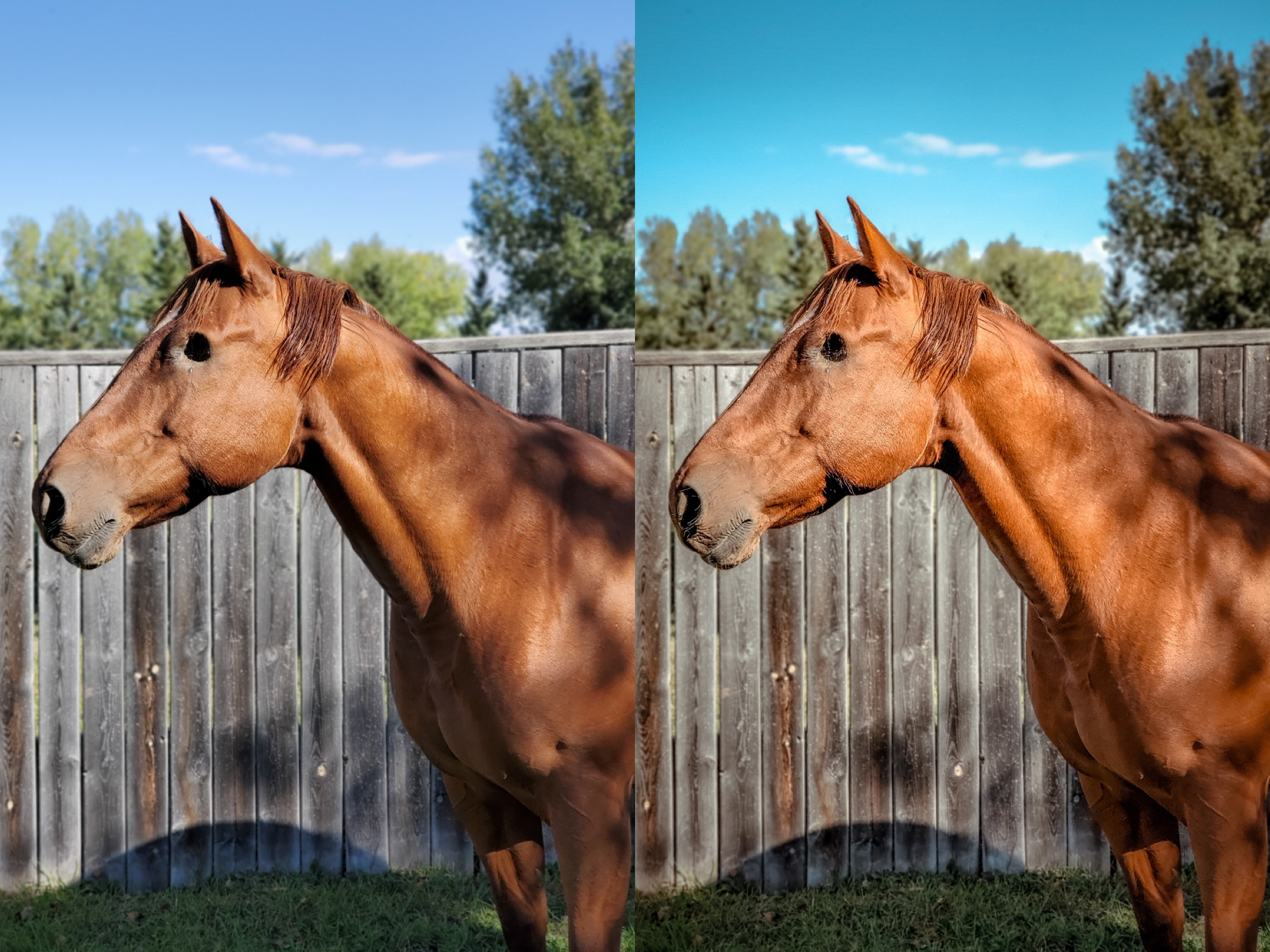 Breezy Mobile Preset - The Modern Cowgirl