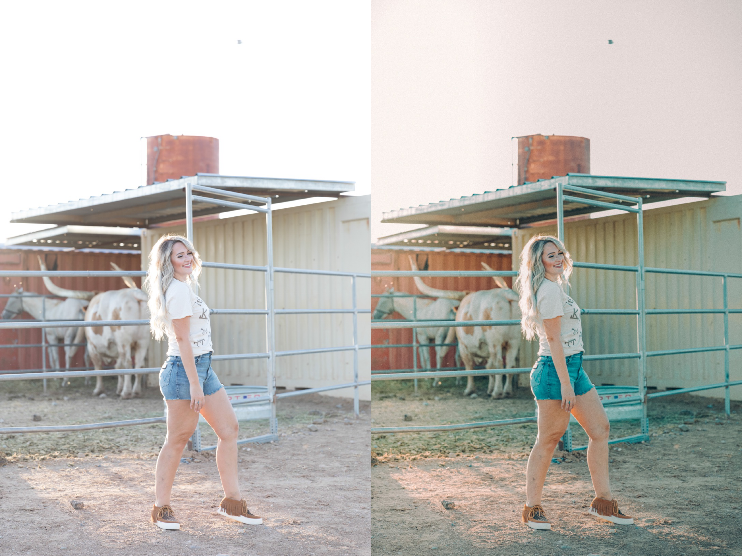 Emerald Mobile Preset - The Modern Cowgirl 