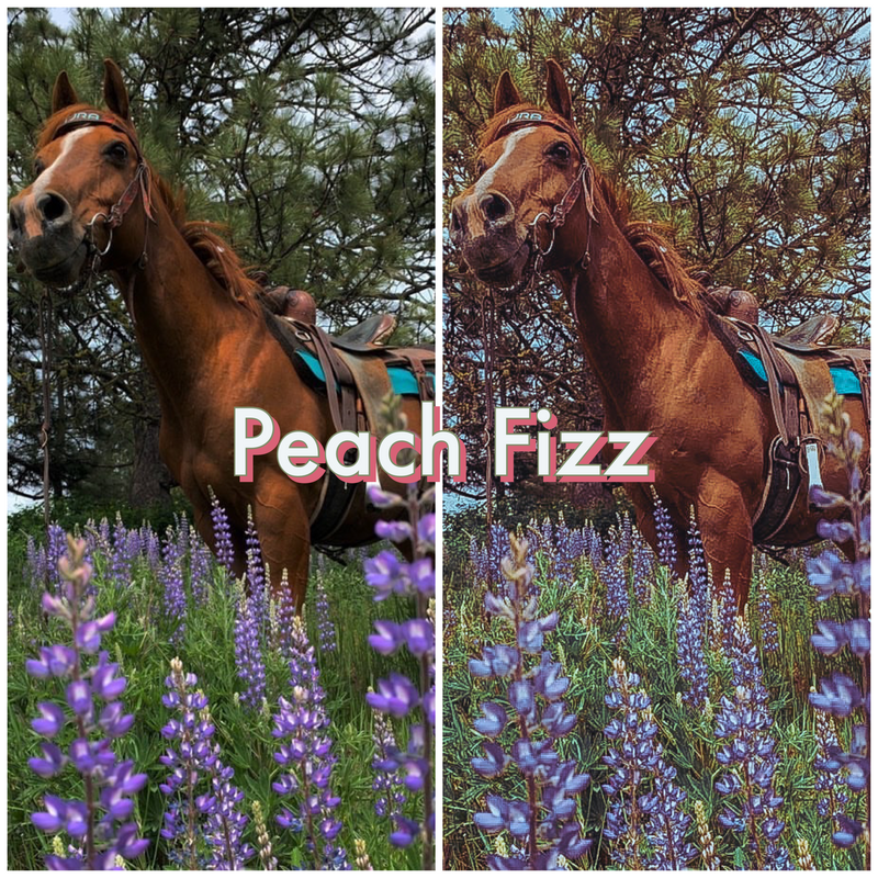Spring Themed Filter Pack - The Modern Cowgirl 