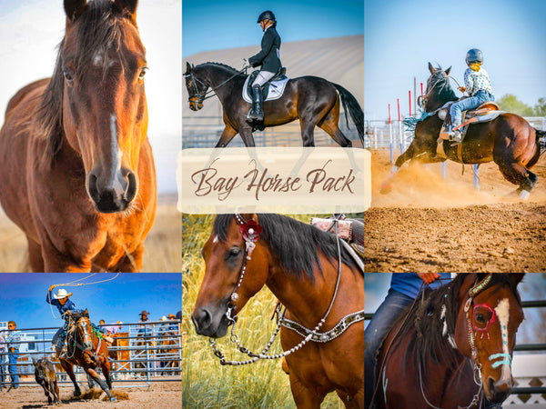 Bay Horse Pack - Modern Cowgirl Presets
