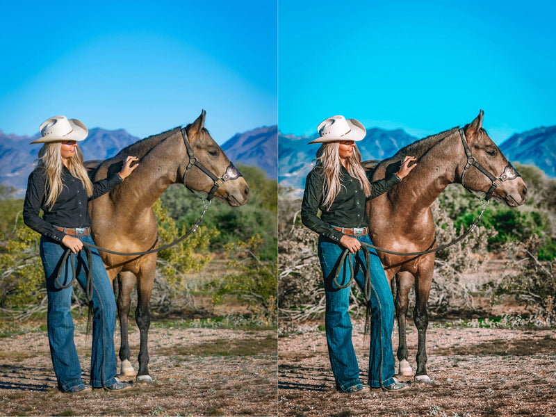 Icy Cowgirl Mobile Preset - Modern Cowgirl Presets