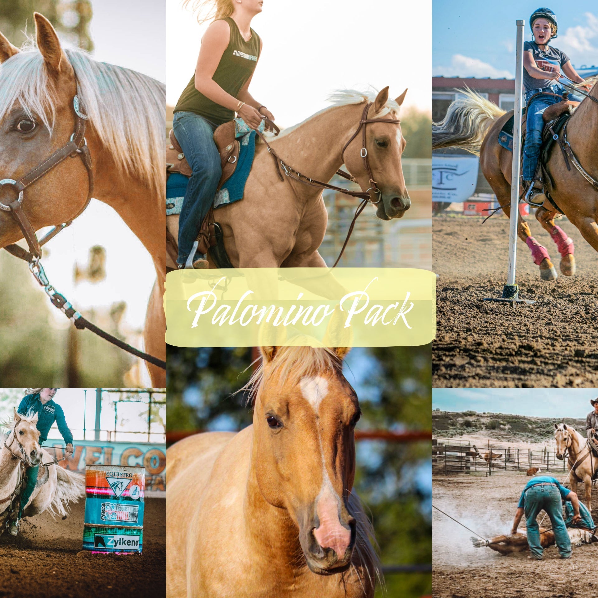 Palomino Horse Pack - Modern Cowgirl Presets