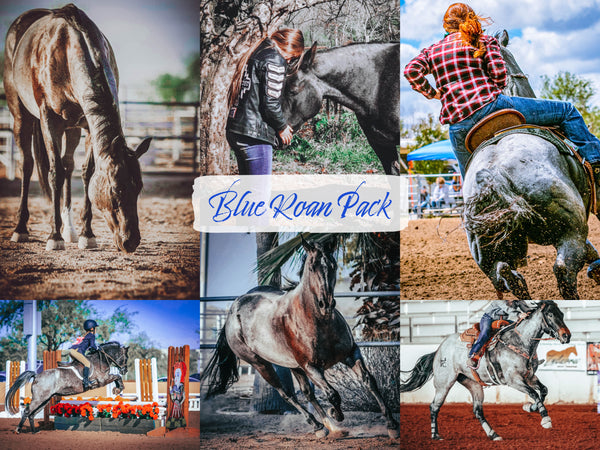 Blue Roan Pack - Modern Cowgirl Presets