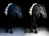 Black Horse Pack - Modern Cowgirl Presets