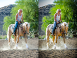 Palomino Horse Pack - Modern Cowgirl Presets