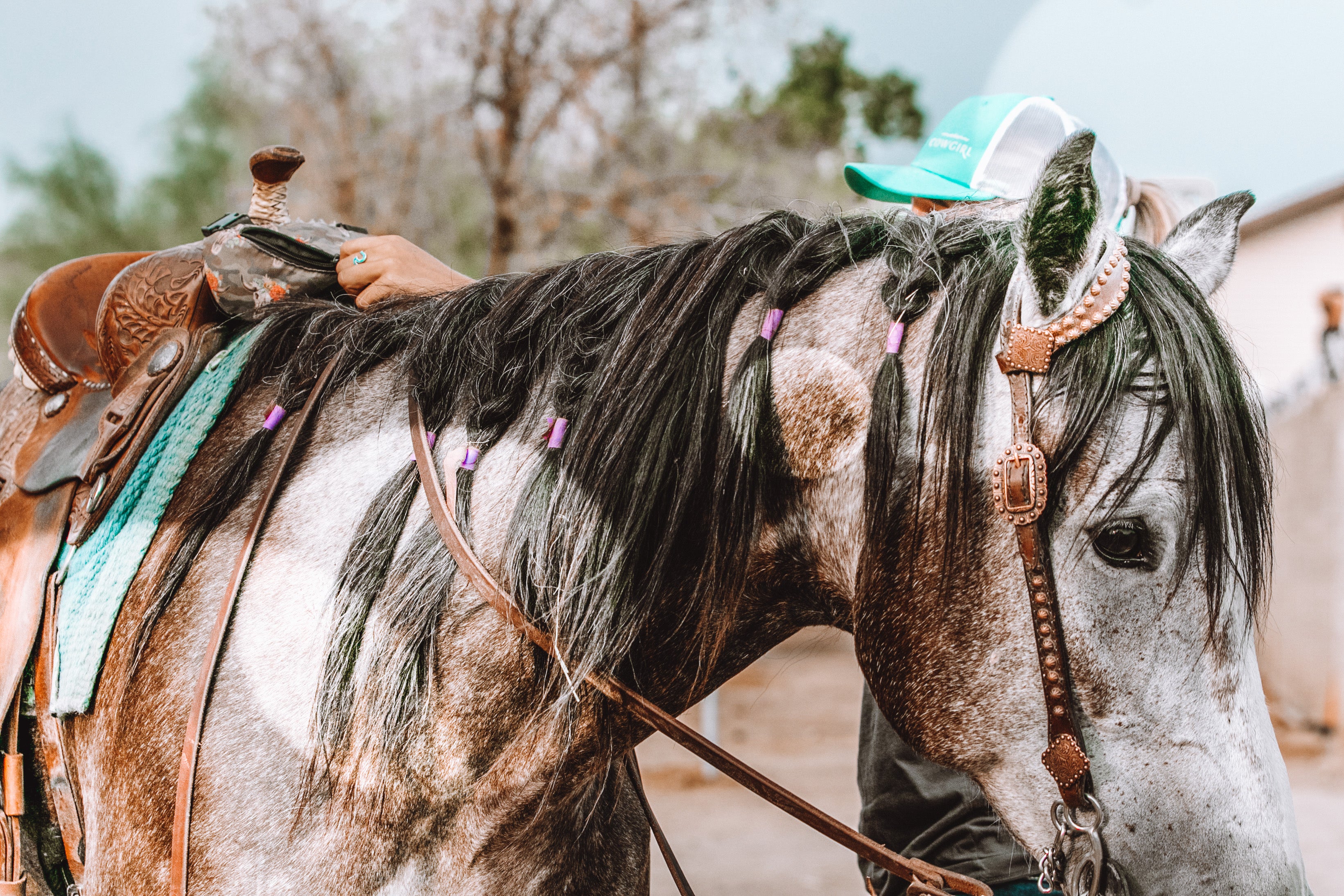 Flare Pack - Modern Cowgirl Presets