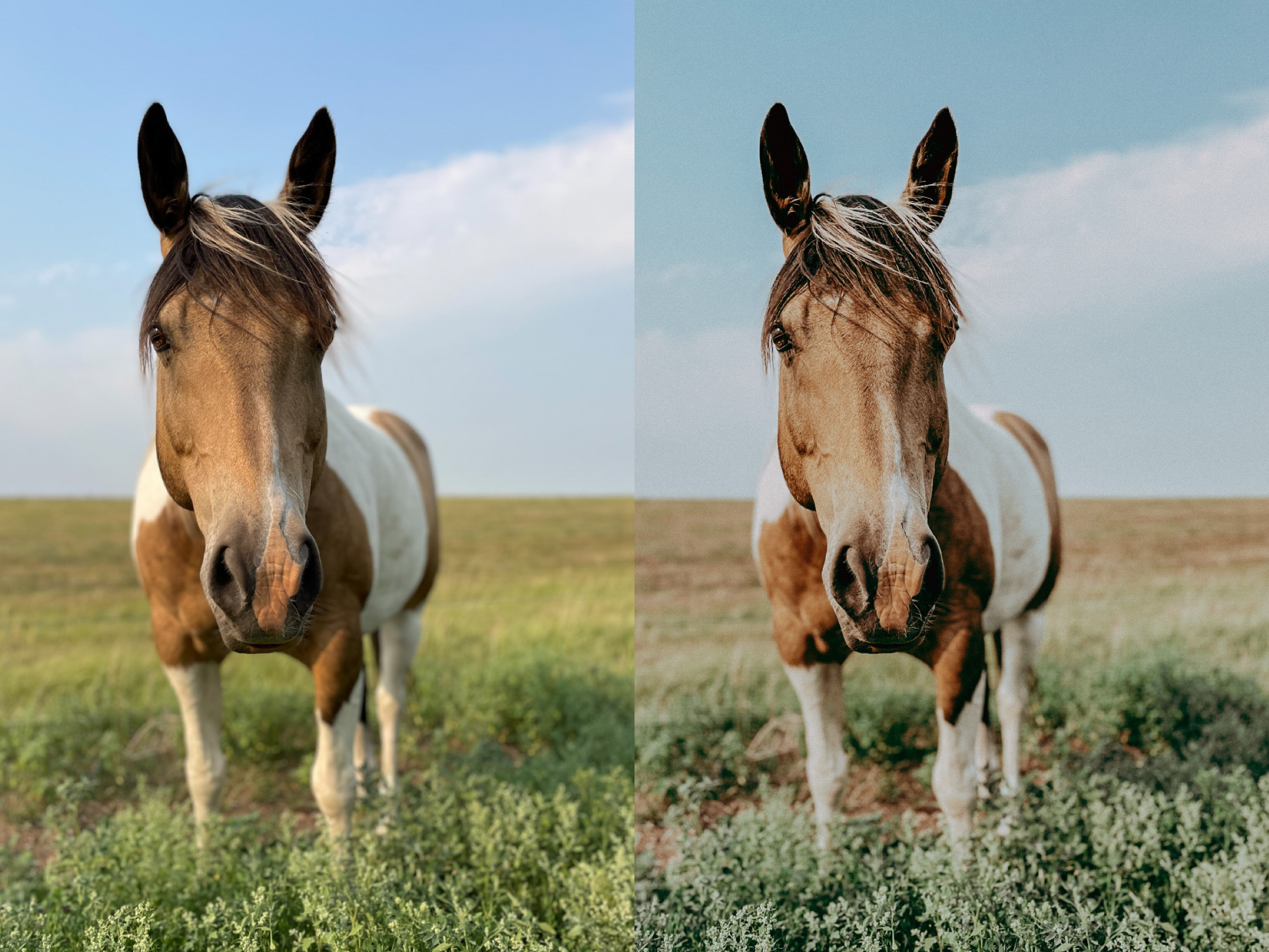 Wavy Mobile Preset - The Modern Cowgirl 