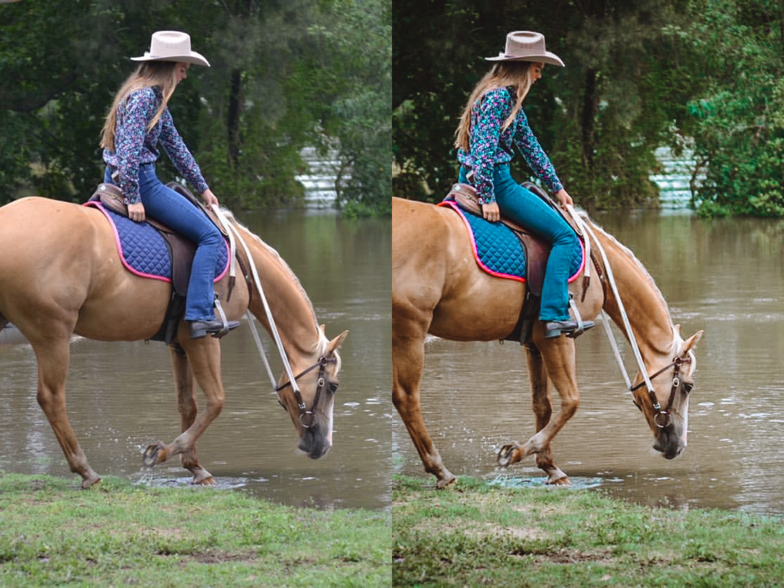 Palomino Horse Pack - Modern Cowgirl Presets