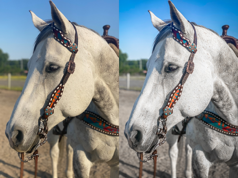 Grey Horse Pack - Modern Cowgirl Presets