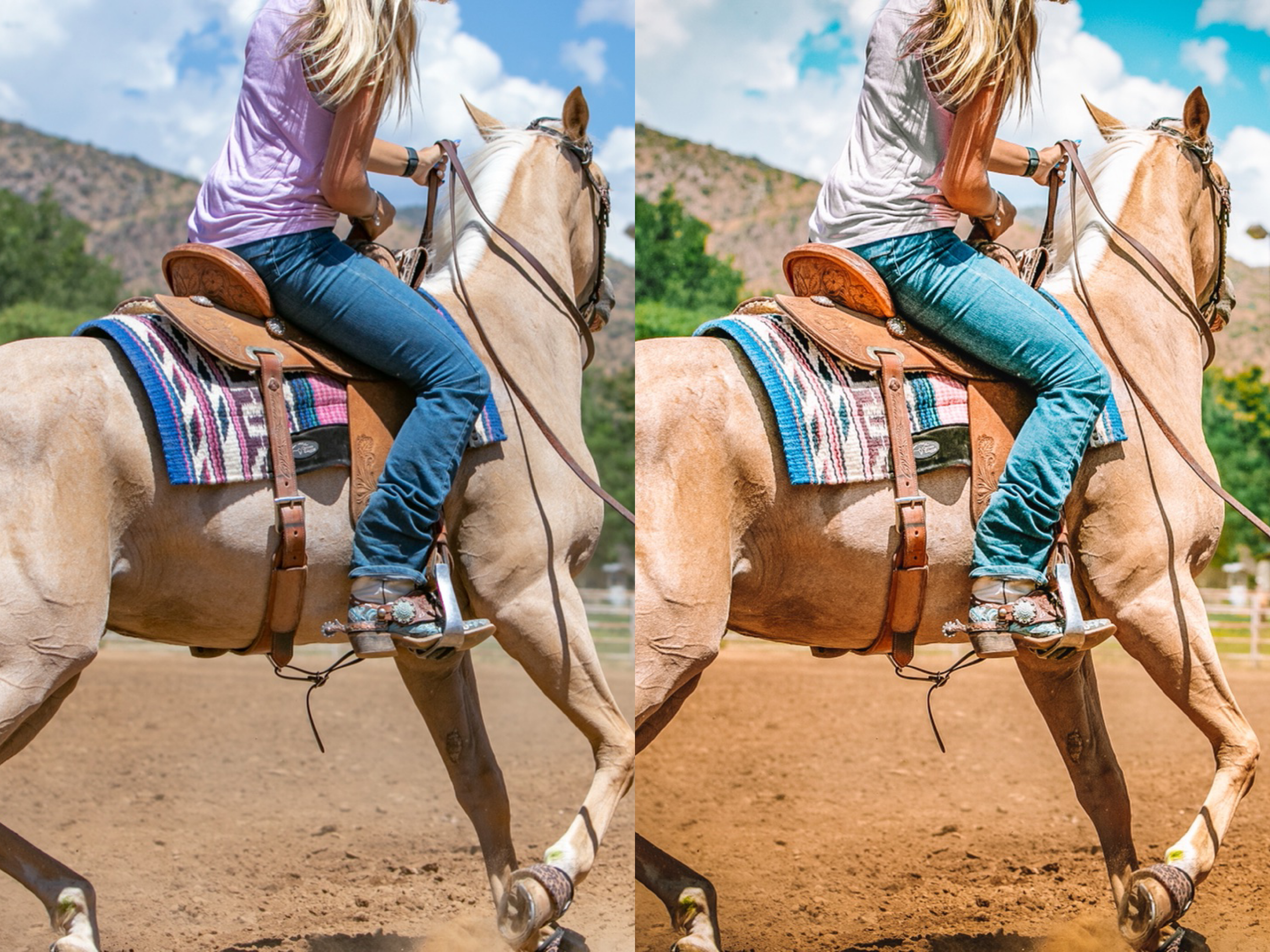 Palomino Horse Pack - Modern Cowgirl Presets