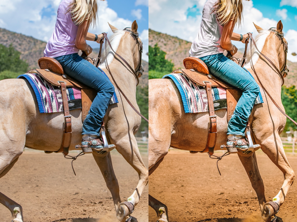 Palomino Horse Pack - Modern Cowgirl Presets